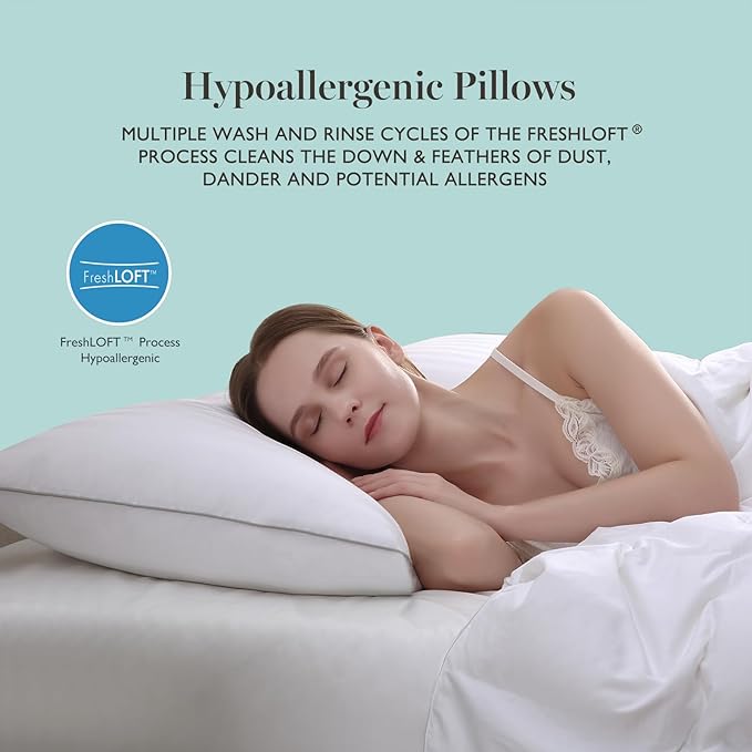 100% Cotton Bed Pillow - Queen - 2 Piece