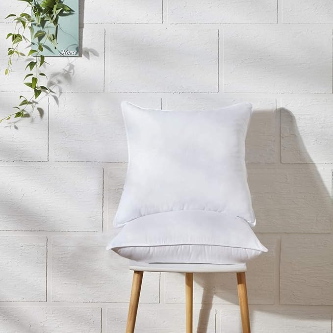 Pillow Insert - 20 x 20 in - 2 Piece