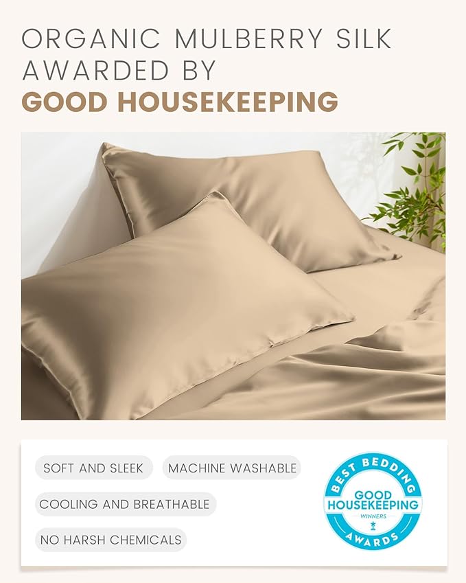 Mulberry Silk Pillowcase Set - Standard - 2 Piece