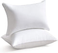 Down Alternative Pillow Insert - 2 Piece