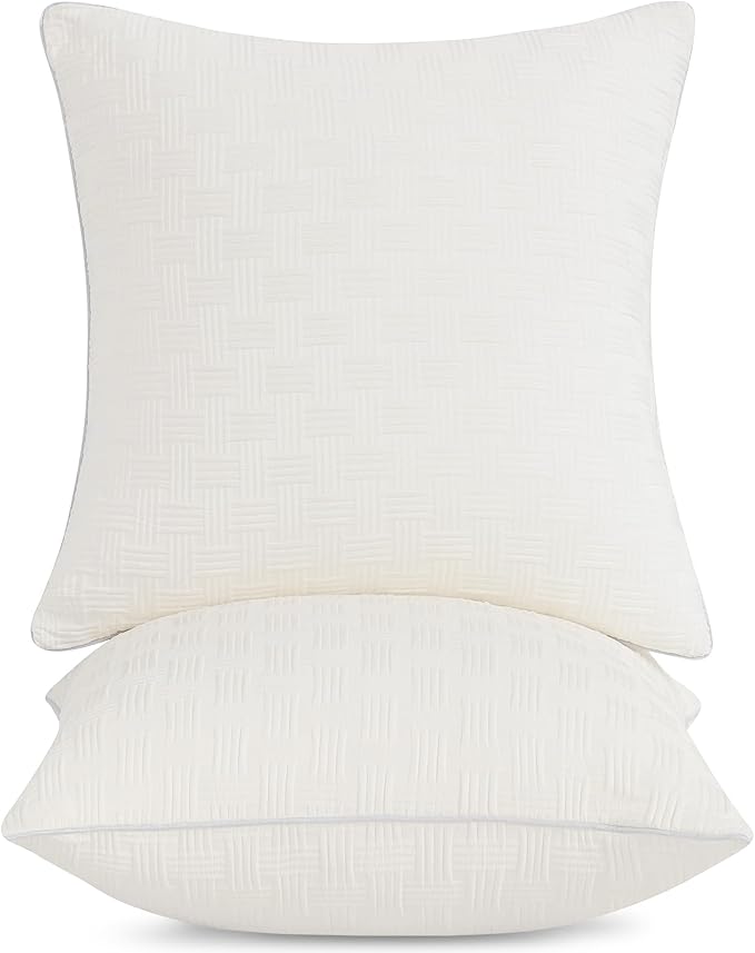 Pillow Insert - 2 Piece