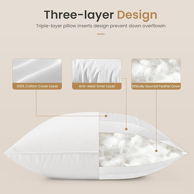 Pillow Insert - 2 Piece