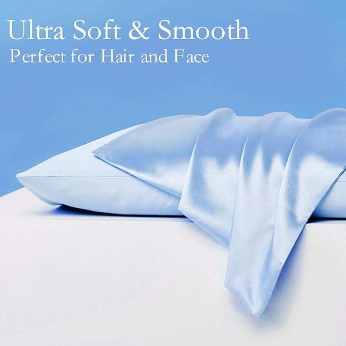 Mulberry Silk Hypoallergenic Pillowcase Set - Standard - 2 Pack