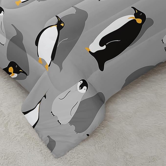 Comforter Set - Queen - 3 Piece