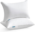 100% Cotton Pillow Insert - 2 Piece