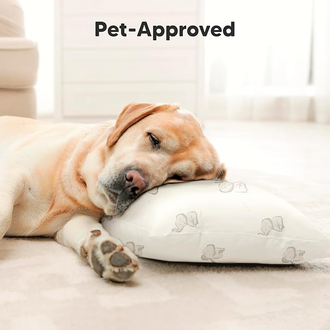 Bamboo Bed Pillow