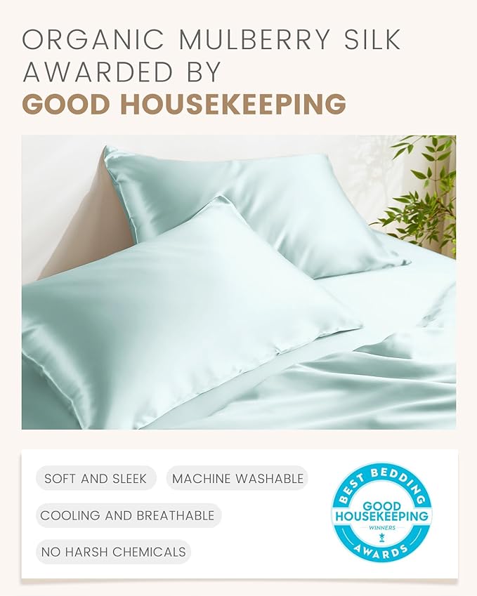 Mulberry Silk Hypoallergenic Pillowcase - Queen