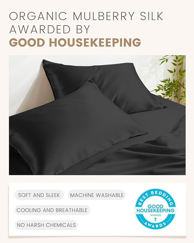 Mulberry Silk Pillowcase Set - Standard - 2 Piece