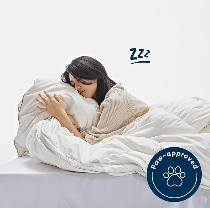 Duvets Down Comforter - King