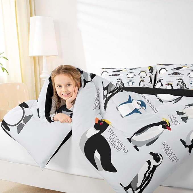 Comforter Set - Queen