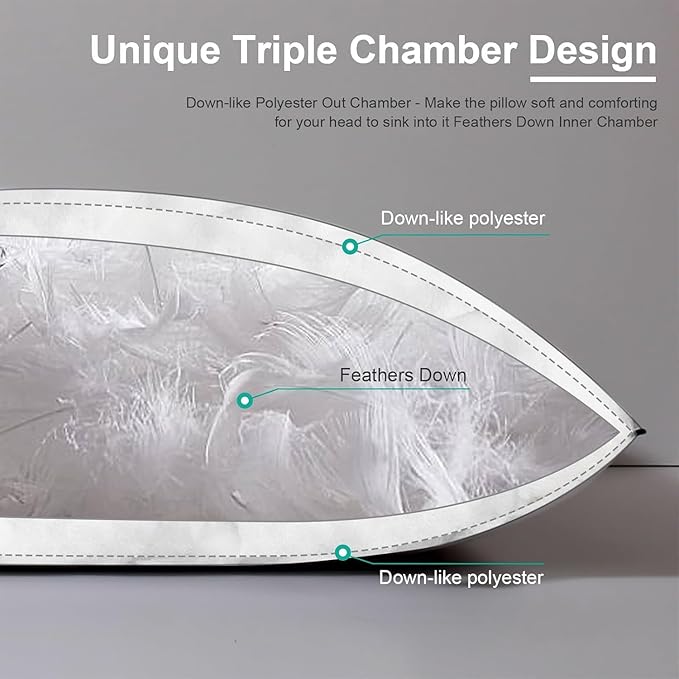 Duvets Down Comforter - Standard - 2 Piece
