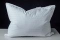 100% Cotton Bed Pillow - Queen - 20 x 30 in