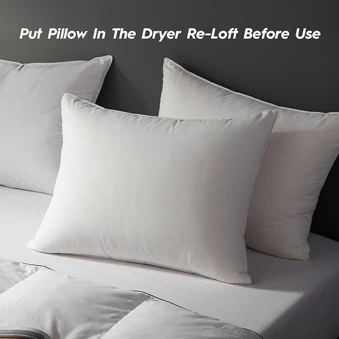 100% Cotton Bed Pillow - Standard