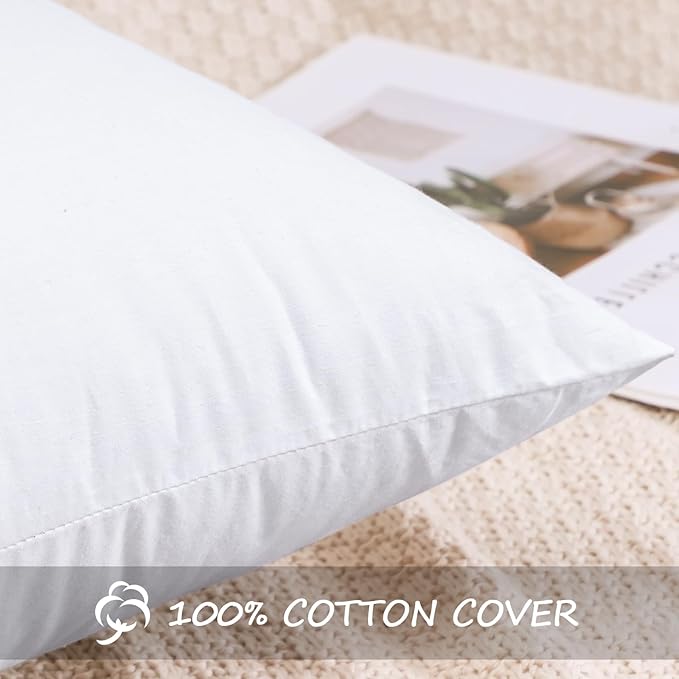 100% Cotton Pillow Insert - 2 Piece
