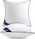 100% Cotton Pillow Insert - 2 Piece