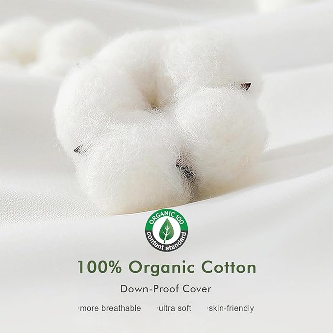 Pillow Insert - 2 Piece