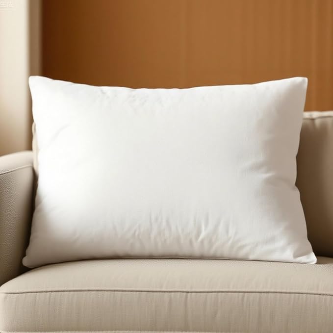 Pillow Insert