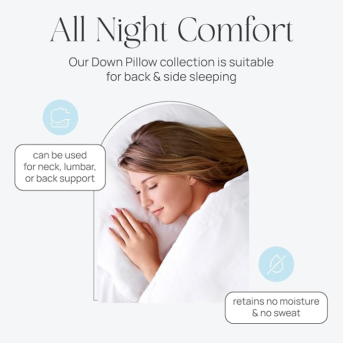100% Cotton Bed Pillow - Standard - 20 x 26 in - 2 Piece
