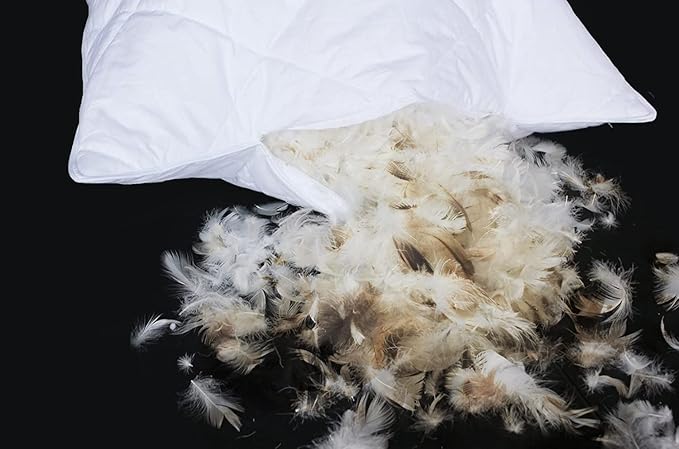 100% Cotton Bed Pillow - King