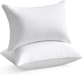 100% Cotton Pillow Insert - 2 Piece