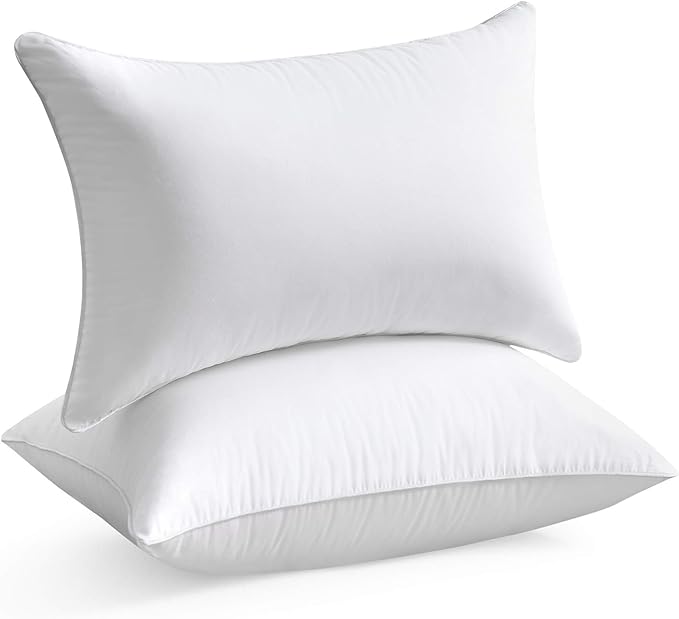 100% Cotton Pillow Insert - 2 Piece