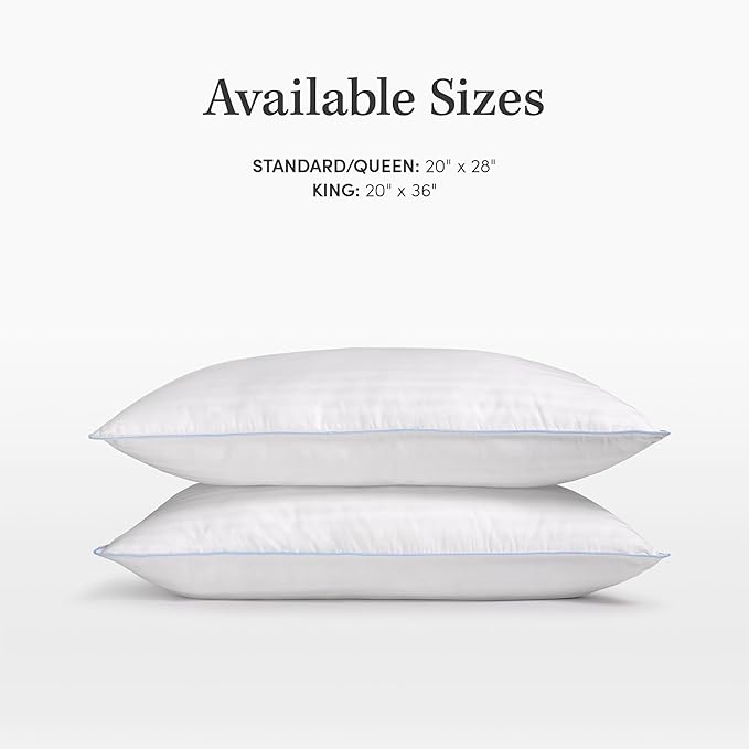 100% Cotton Bed Pillow - King - 2 Pack