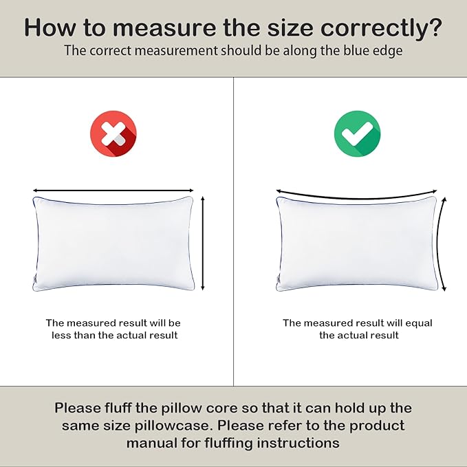 Microfiber Hypoallergenic Pillow Insert - 2 Piece