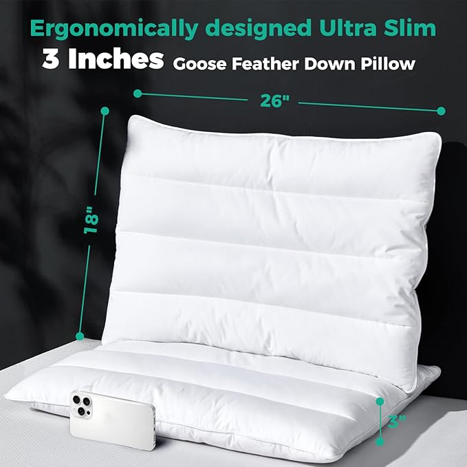 100% Cotton Bed Pillow - Standard - 18 x 26 in - 2 Piece