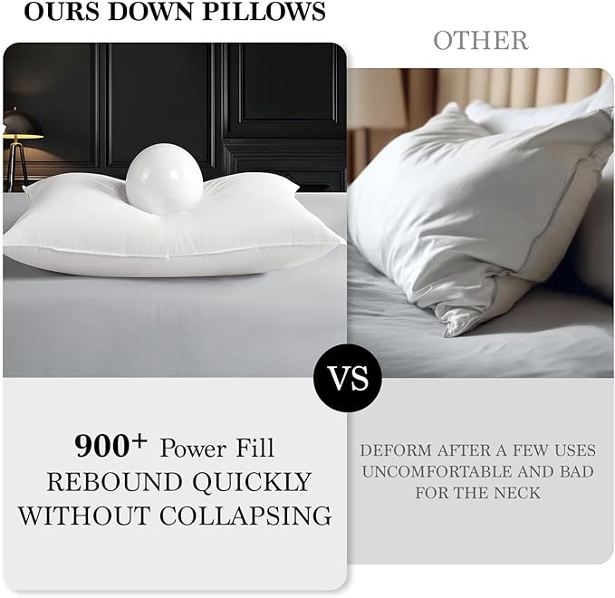 100% Cotton Bed Pillow - Queen