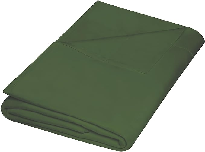 Microfiber Hypoallergenic Flat Sheet - Queen