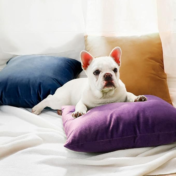 Velvet Pillowcase Set - 18 x 18 in - 2 Pack