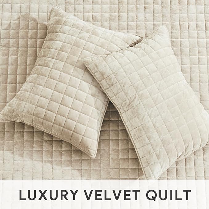 Velvet Quilt Set - Twin XL