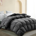 Duvets Down Comforter - Queen
