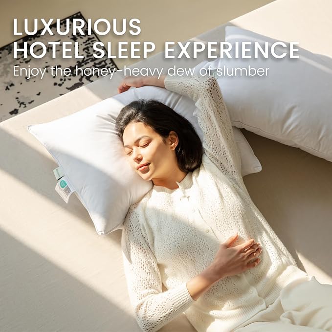 100% Cotton Bed Pillow - Queen - 2 Pack