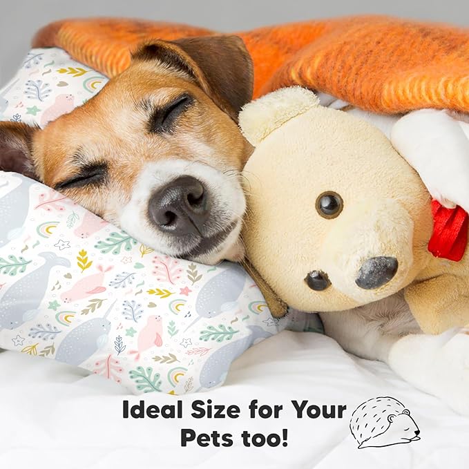 Bed Pillow