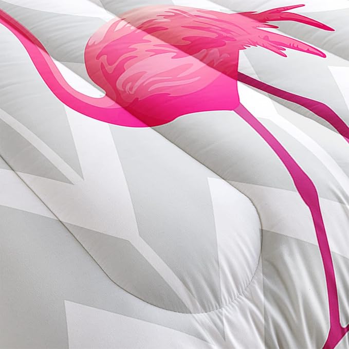 Comforter Set - Queen - 3 Piece