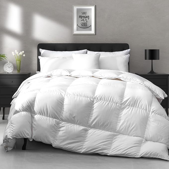 Duvets Down Comforter - Queen