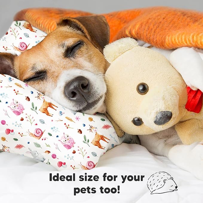 Bed Pillow