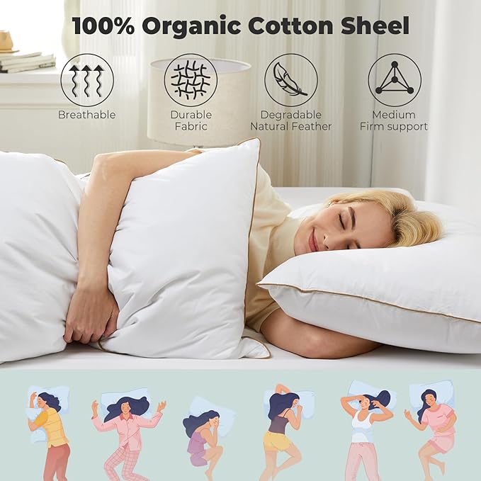 100% Cotton Bed Pillow - Queen - 20 x 30 in - 2 Piece