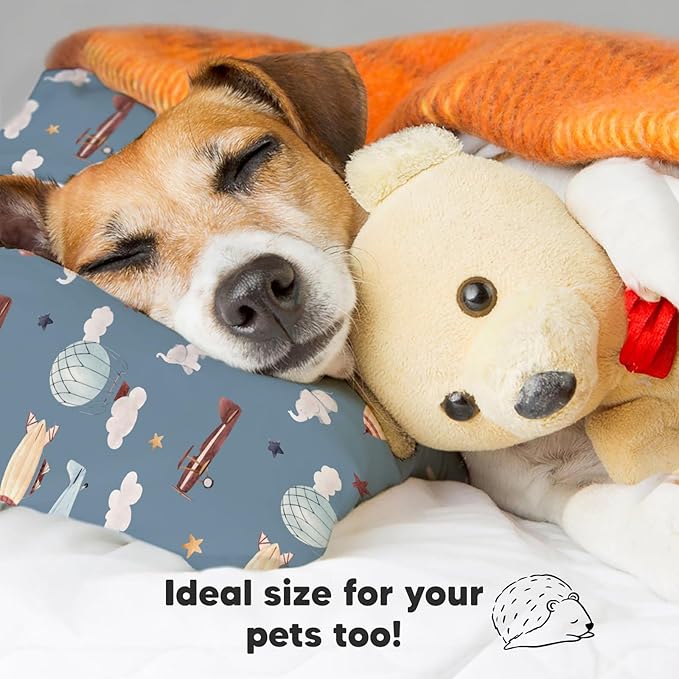 Bed Pillow