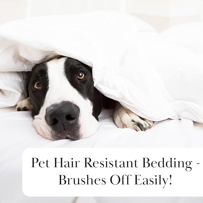 Bed Skirt - Twin - 14 in Drop