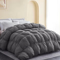 Duvets Down Comforter - Queen