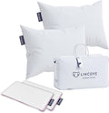 Bed Pillow - Standard - 2 Pack