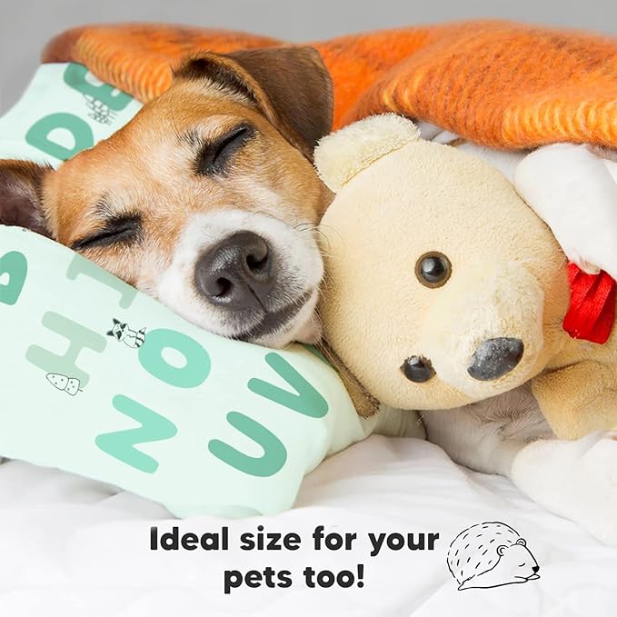 Bed Pillow