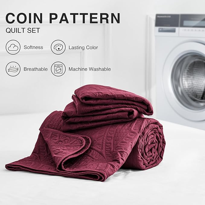 Quilt Set - Queen - 3 Piece
