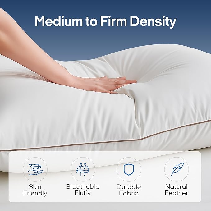 100% Cotton Bed Pillow - Standard - 20 x 26 in - 2 Pack