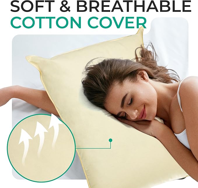 Bed Pillow - King - 20 x 36 in - 2 Piece