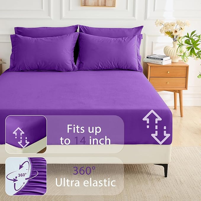 Comforter Set - Queen - 7 Piece