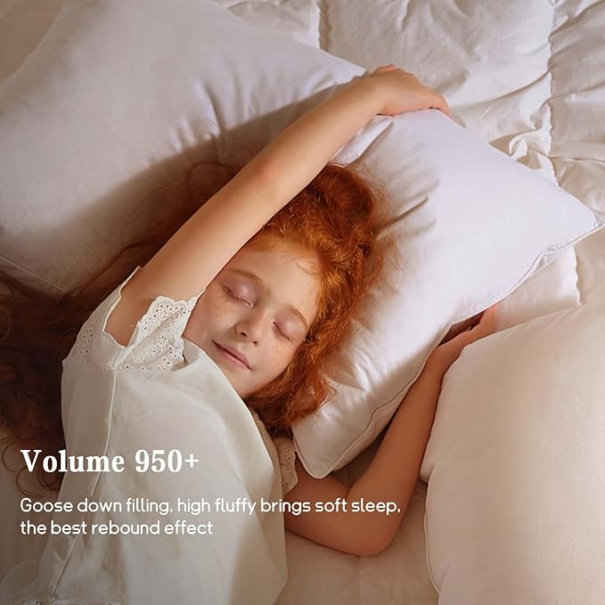 Bed Pillow - Queen