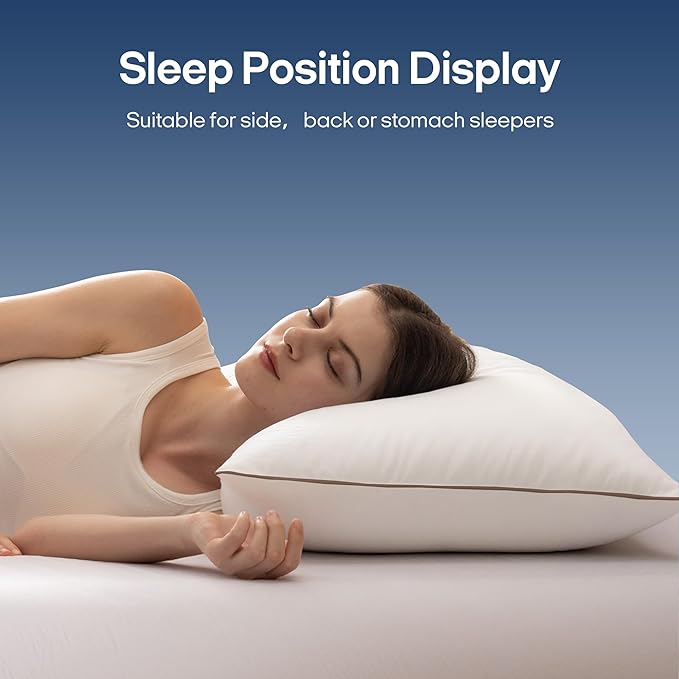 100% Cotton Bed Pillow - Standard - 20 x 26 in - 2 Pack